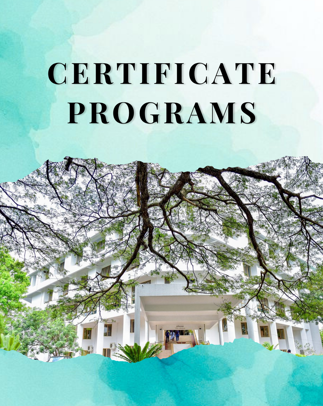 Certificate Programs