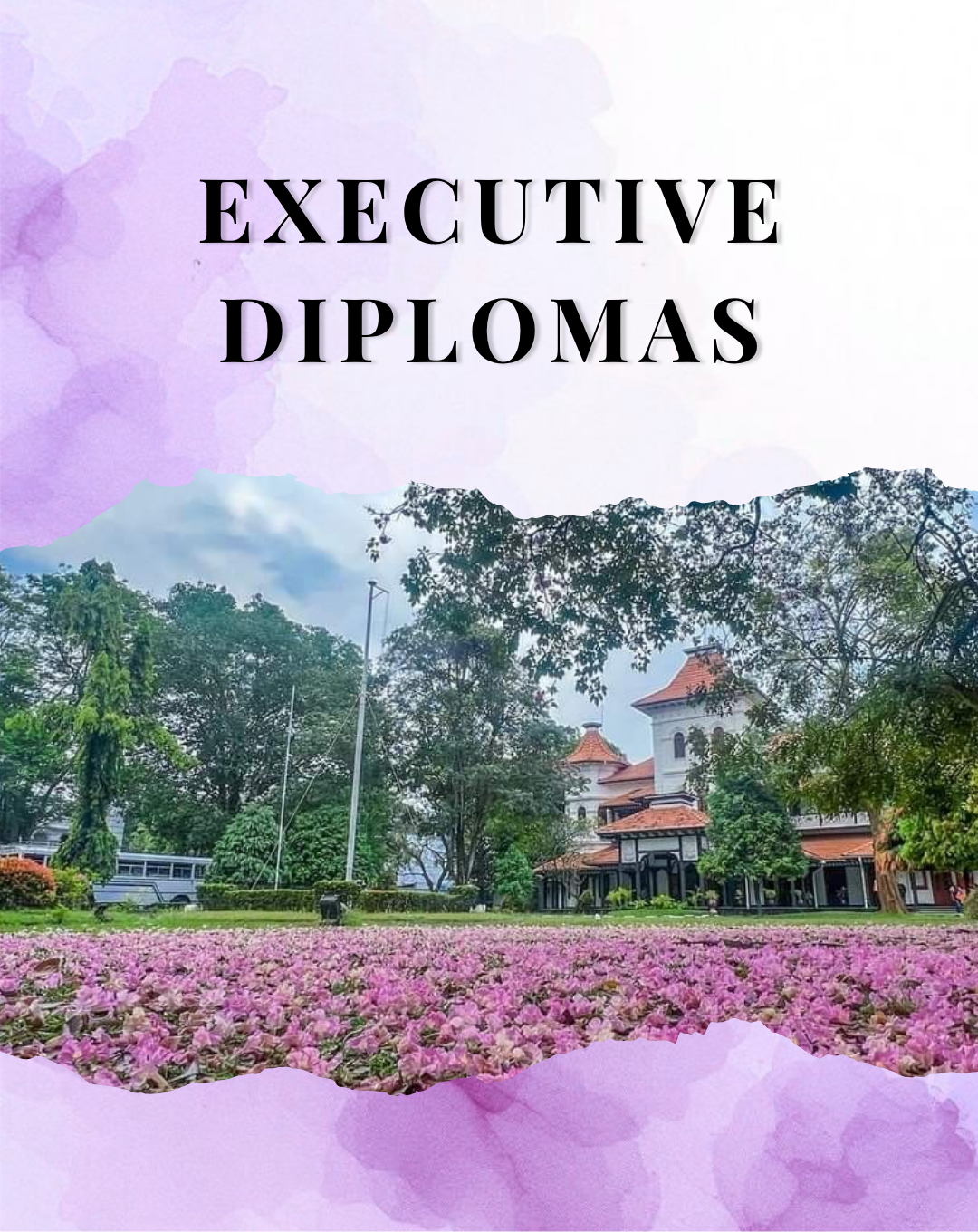 Executive Diplomas
